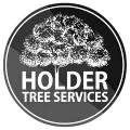Holder-Tree-Services-Tree-Surgeons